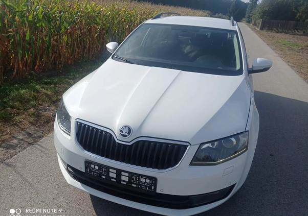 Skoda Octavia cena 36000 przebieg: 140000, rok produkcji 2017 z Kałuszyn małe 46